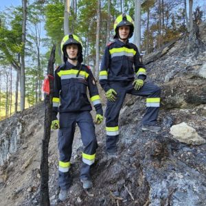 WaldbrandRein (19)